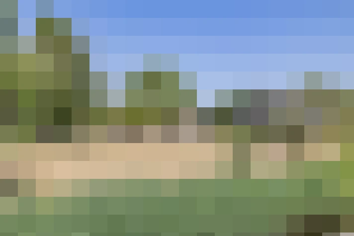 Image 72