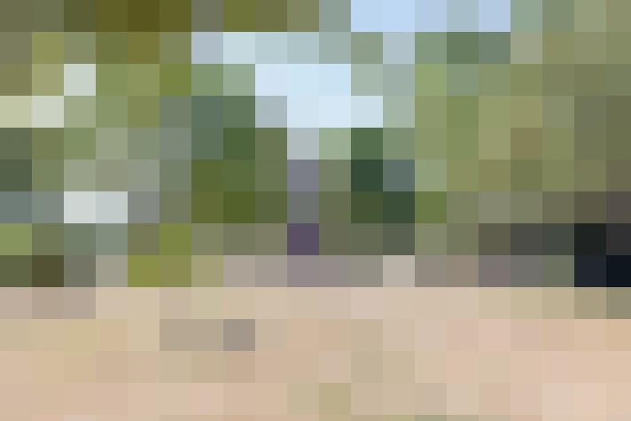 Image 52