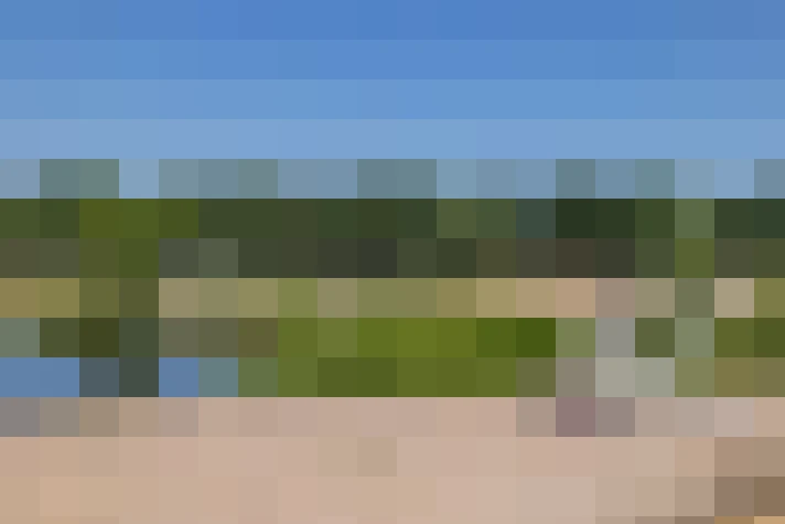 Image 58