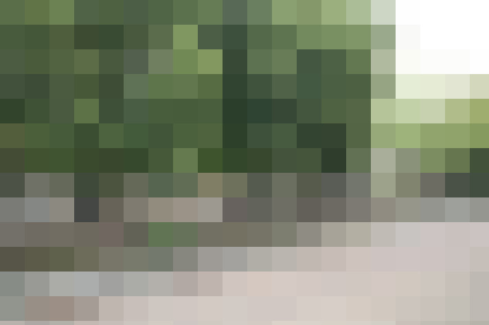 Image 23