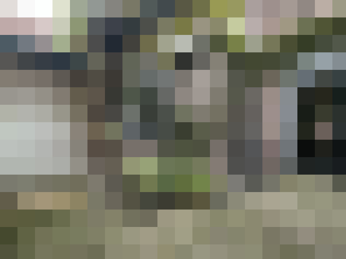 Image 13