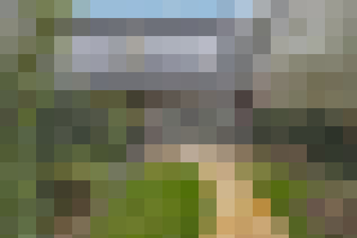Image 20