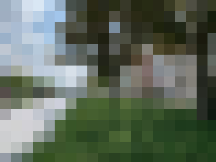 Image 13