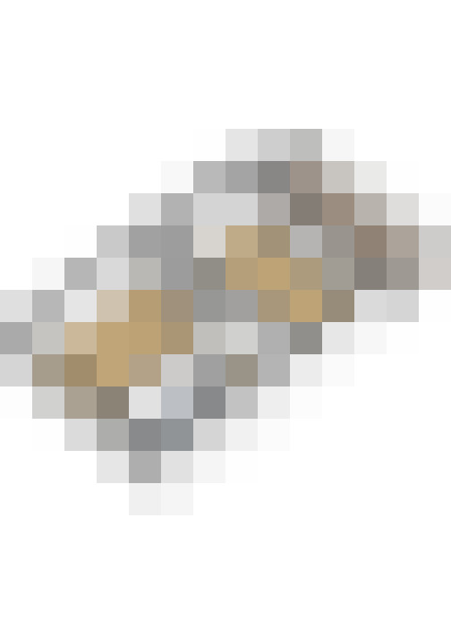 Image 47