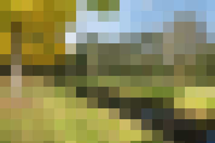 Image 45