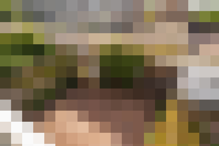 Image 38