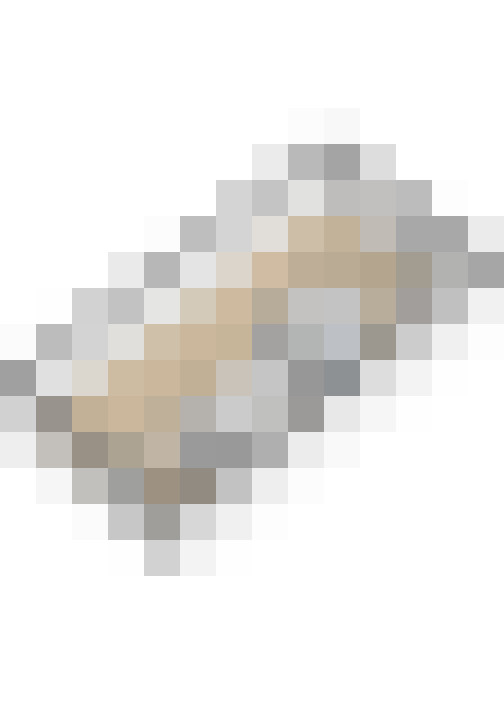 Image 51