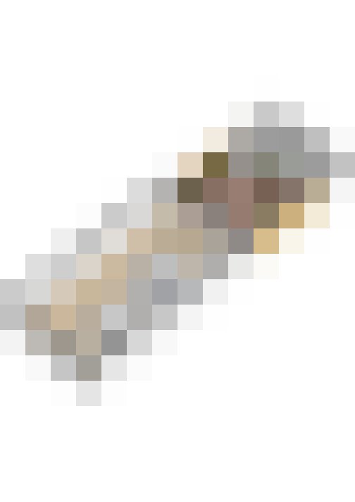 Image 53