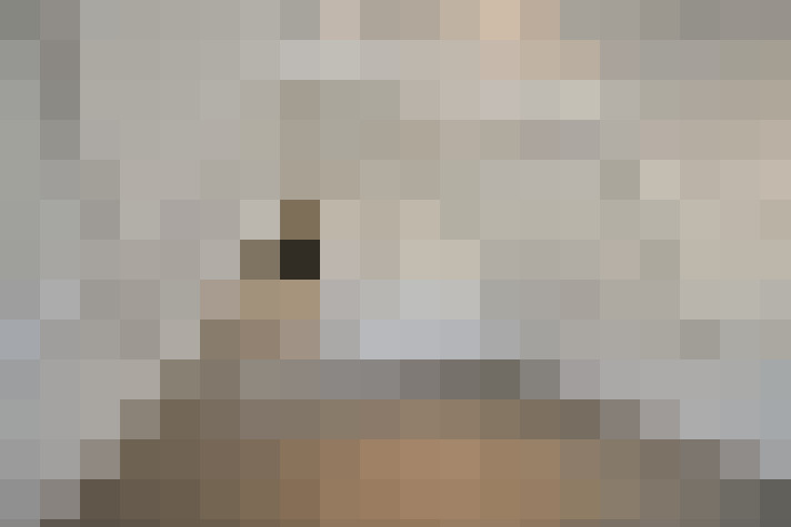Image 23