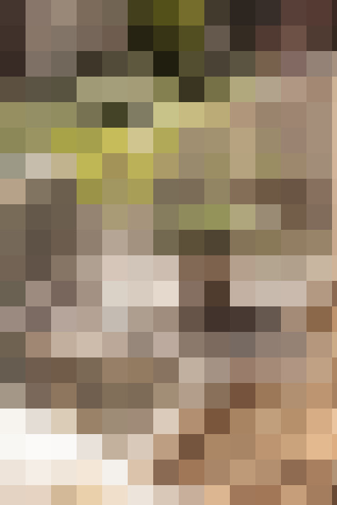 Image 33