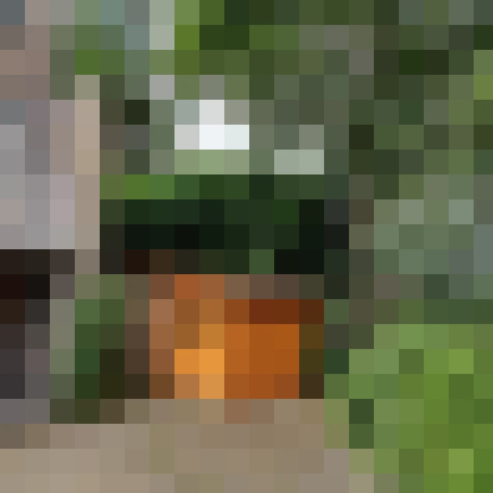 Image 14