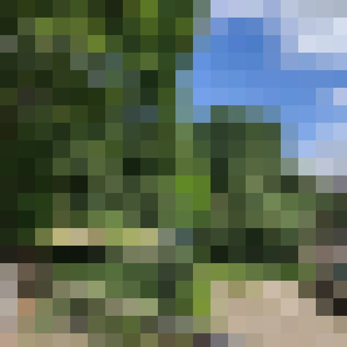 Image 13