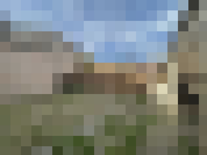 Image 15
