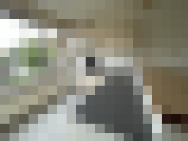 Image 14