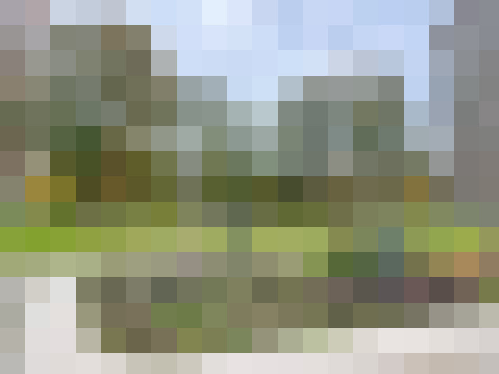 Image 31