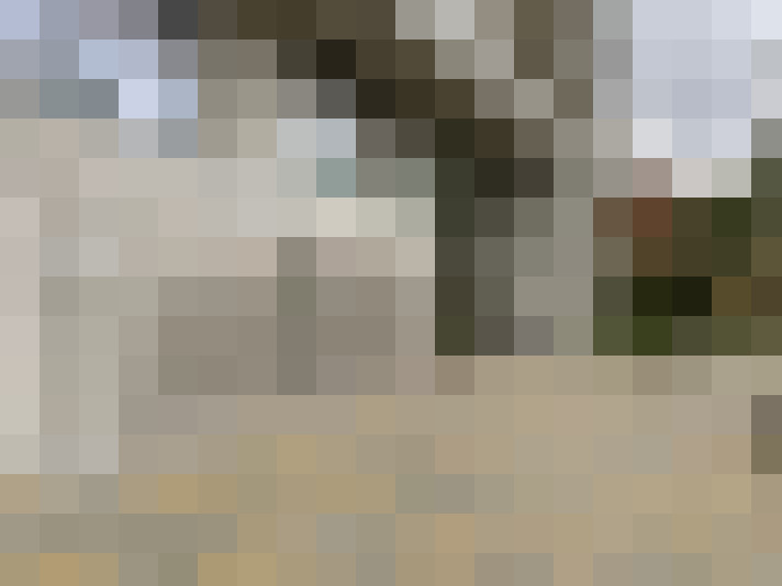 Image 30