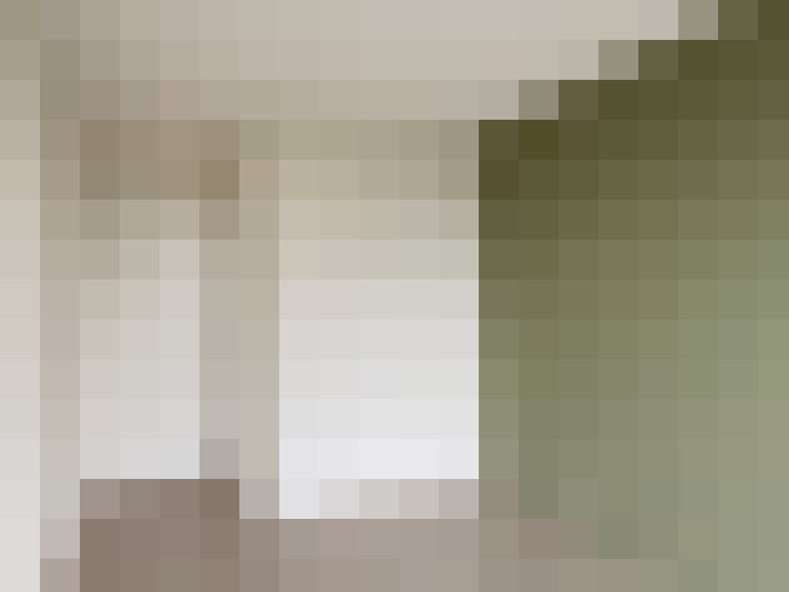 Image 22