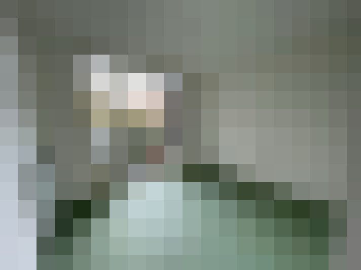 Image 15