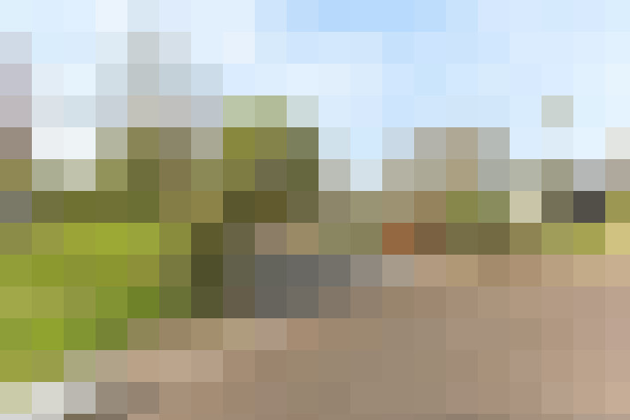 Image 35