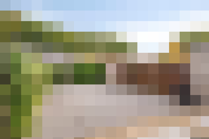 Image 17