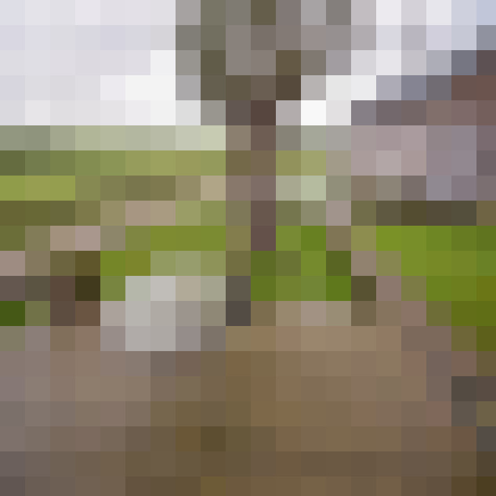 Image 19