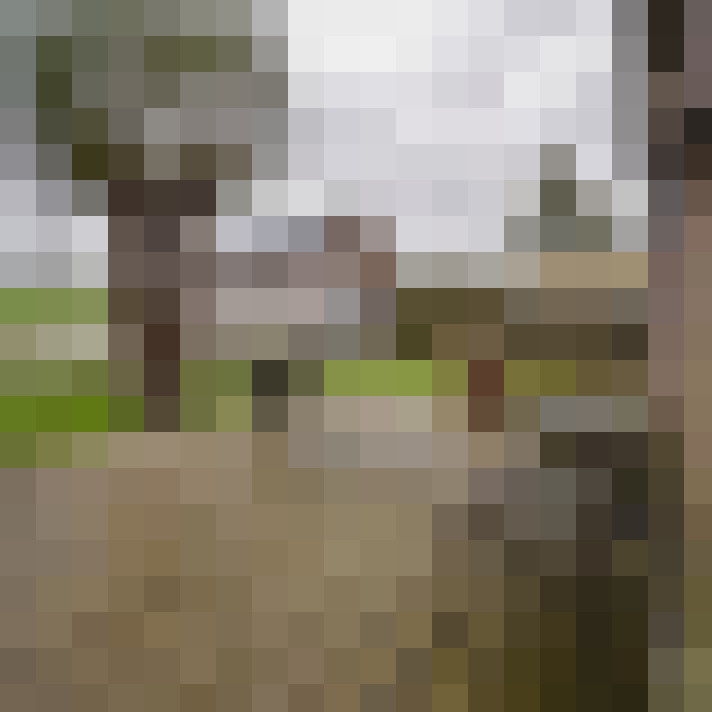 Image 20