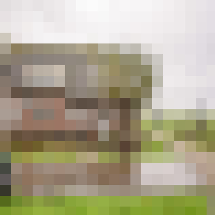 Image 17
