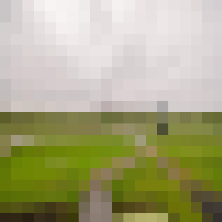 Image 23
