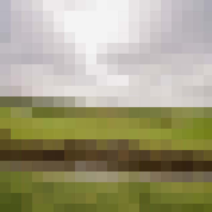 Image 26