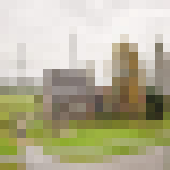 Image 21