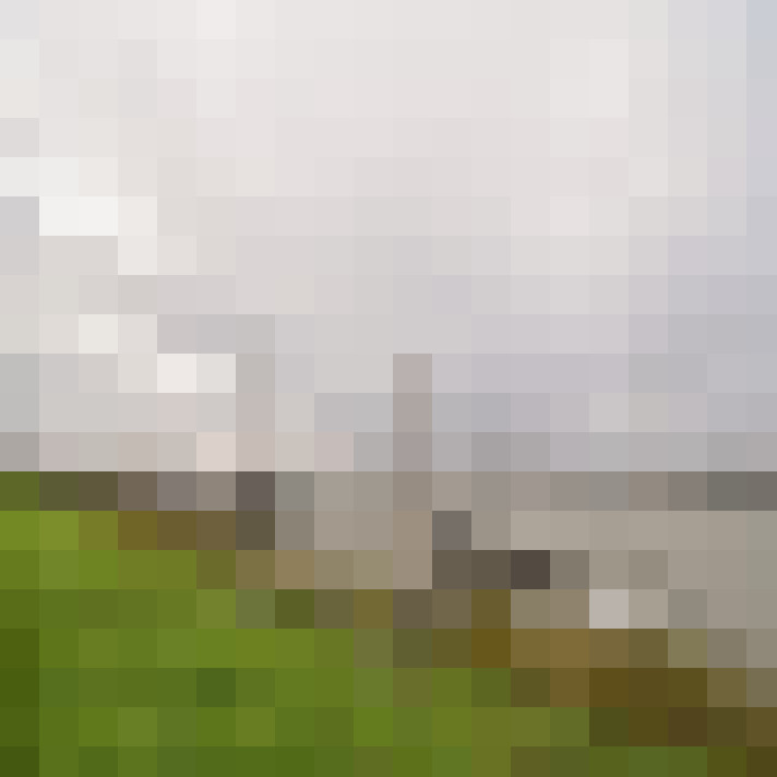 Image 25