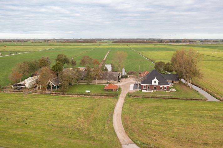 Title of the listing