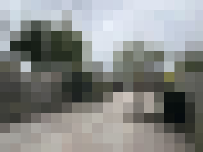 Image 22