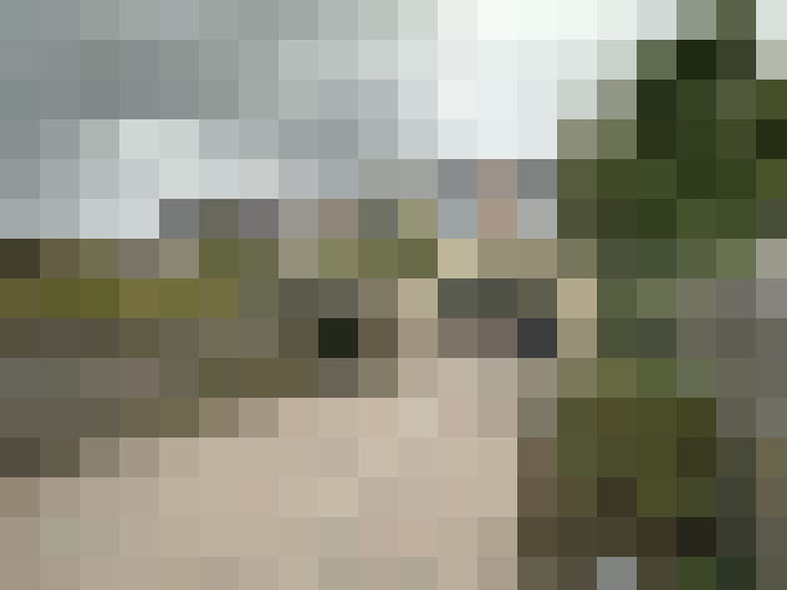Image 20