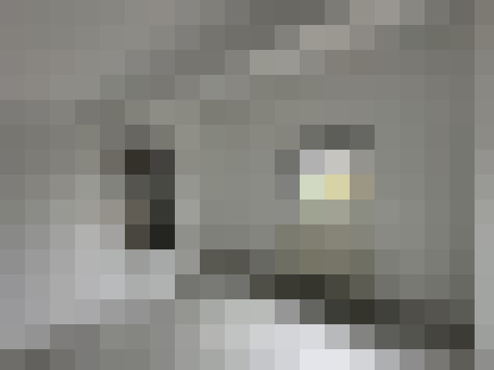 Image 17