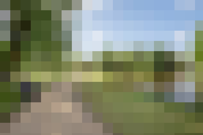 Image 26