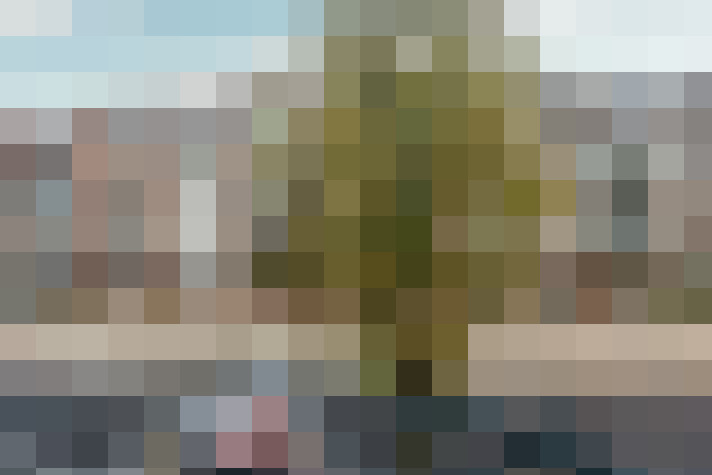 Image 21