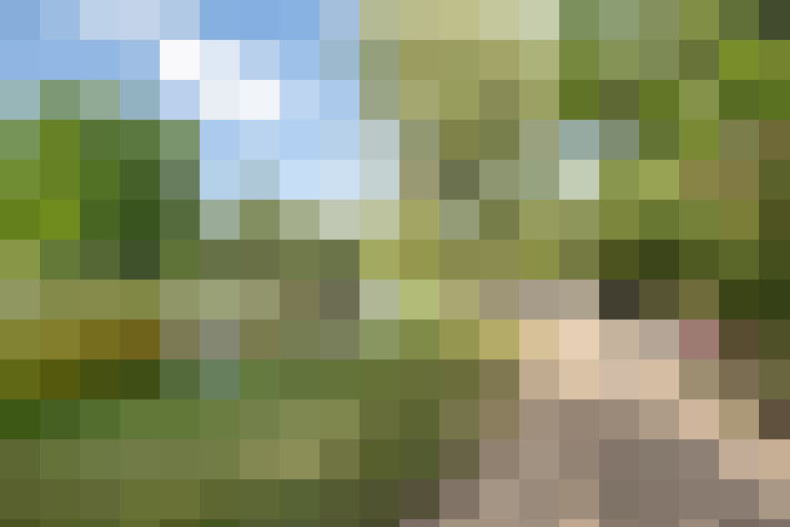 Image 25