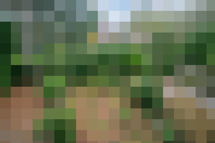 Image 23
