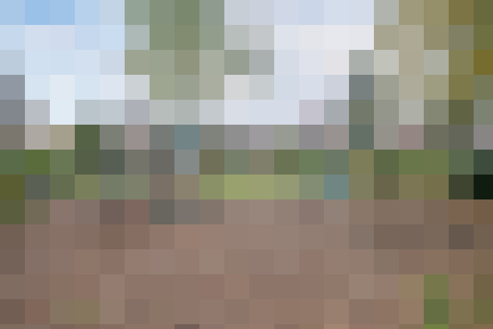 Image 26