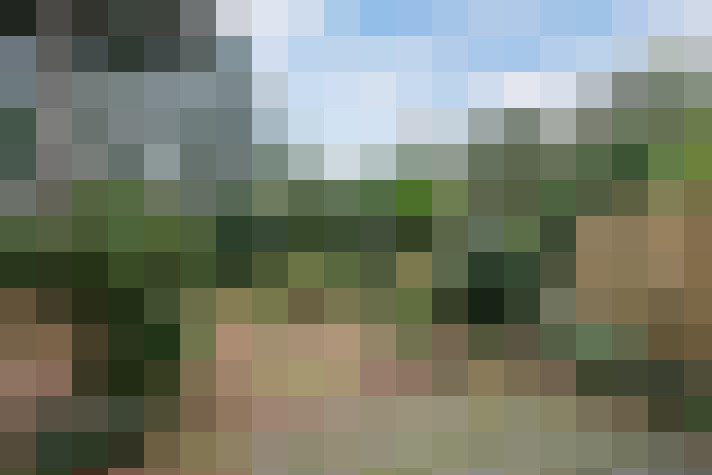 Image 24