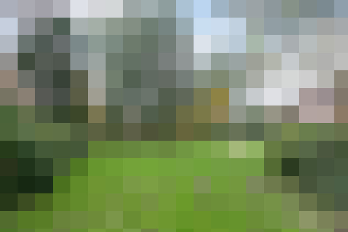 Image 25