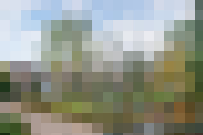 Image 22