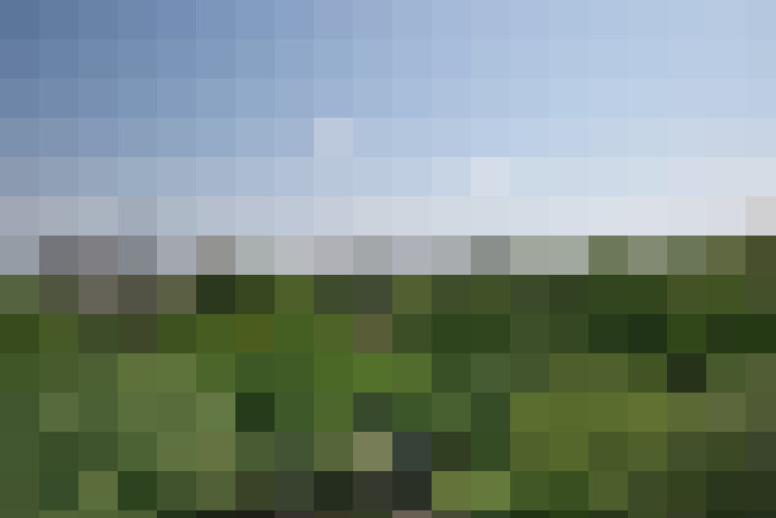 Image 20