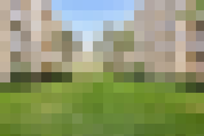 Image 16