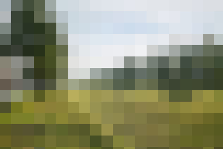 Image 15