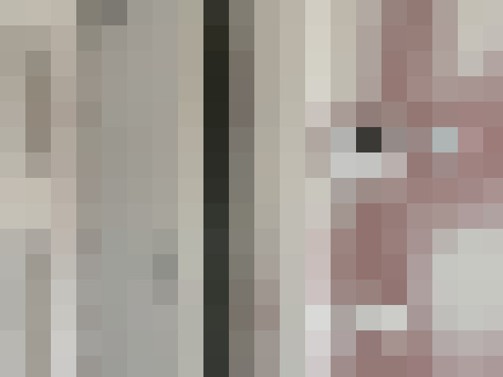 Image 24