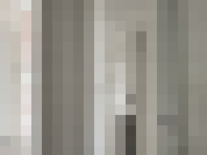 Image 13