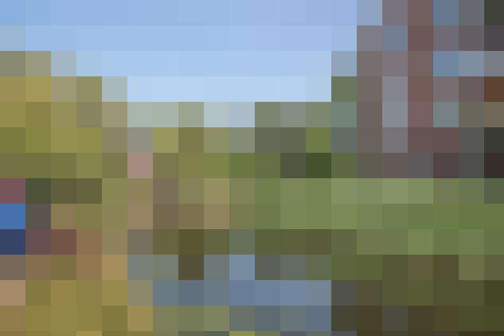 Image 22