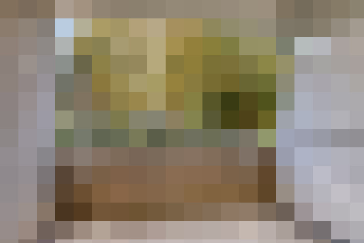 Image 20